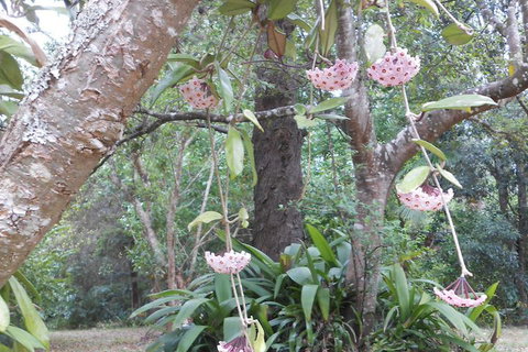 Crabbes Creek Cottages - Geraldton Accommodation 5