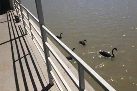 Murray River Queen - Geraldton Accommodation 1