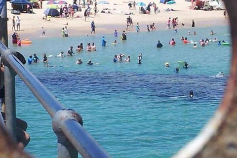 Waterfront Port Noarlunga - Geraldton Accommodation 2
