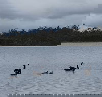 Lake Yalleena Nature Retreat - Geraldton Accommodation