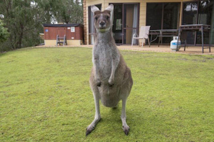 Metricup WA Geraldton Accommodation