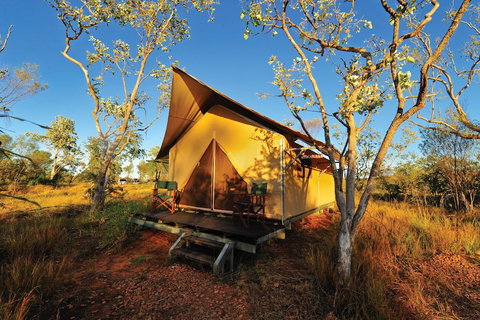 Bungle Bungle Wilderness Lodge - Geraldton Accommodation 4