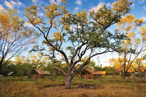 Bungle Bungle Wilderness Lodge - Geraldton Accommodation 5