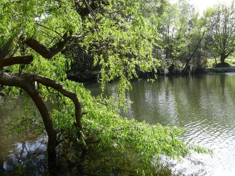 Lakeview On Sycamore - Geraldton Accommodation 1