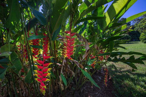 The Figs Byron - Geraldton Accommodation 6