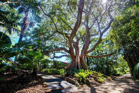 The Figs Byron - Geraldton Accommodation 2