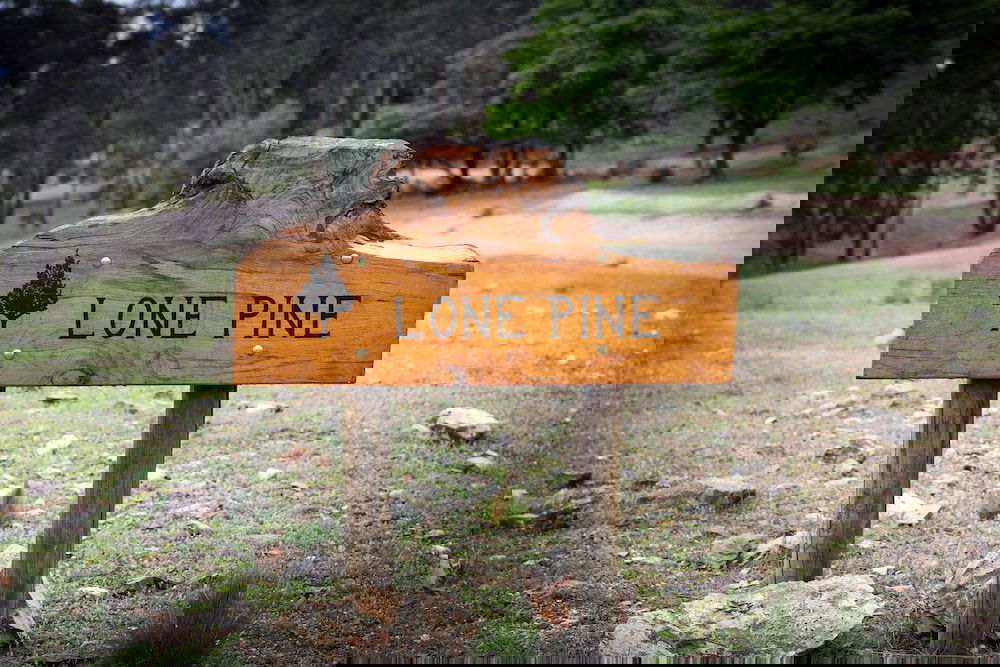 Meroo NSW Geraldton Accommodation