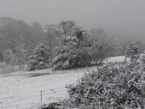Springmead Rustic Cabin - Geraldton Accommodation 6
