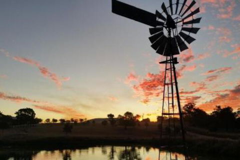 Milford Country Cottages - Geraldton Accommodation 3