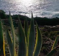 Ven  Marks Place - Geraldton Accommodation