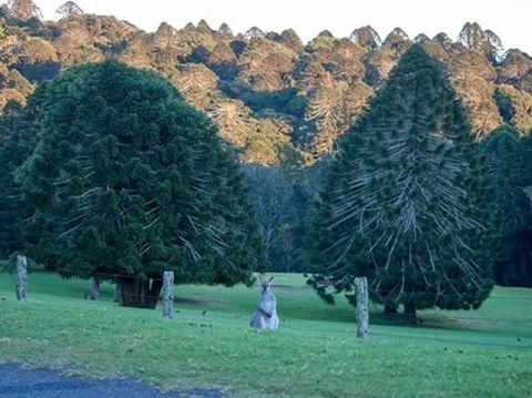 Escape To The Country - Enjoy The Firepit Or Explore Magical Bunya Mountains - Geraldton Accommodation 0