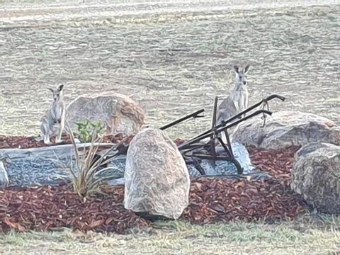 R & R On The Ravine - Geraldton Accommodation 5