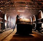 Pieter van Gent Winery  Vineyard - Geraldton Accommodation