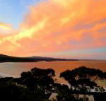 DOLPHIN LOOKOUT COTTAGE amazing views of the Bay of Fires - Geraldton Accommodation
