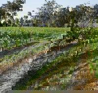 Renovated Cottage Aberdare Hunter Valley - Geraldton Accommodation