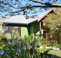 Hills End Iris - Geraldton Accommodation