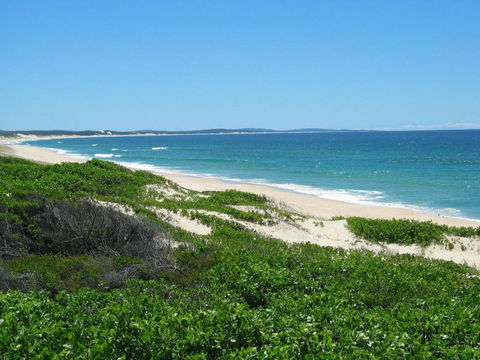 Pet Friendly On Pelican Close To Myall River - Geraldton Accommodation 3