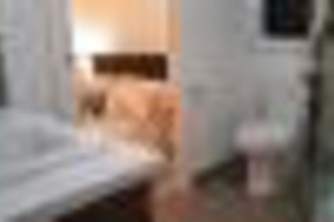 Tranquility - Geraldton Accommodation 2