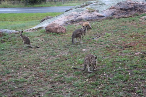 Zuny Yurt - Geraldton Accommodation 3
