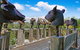 Caldermeade - thumb 5