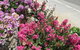 Gatekeepers Traditional Bed & Breakfast - thumb 0