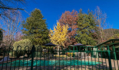 The Birch House - Silver Birches - Geraldton Accommodation 1