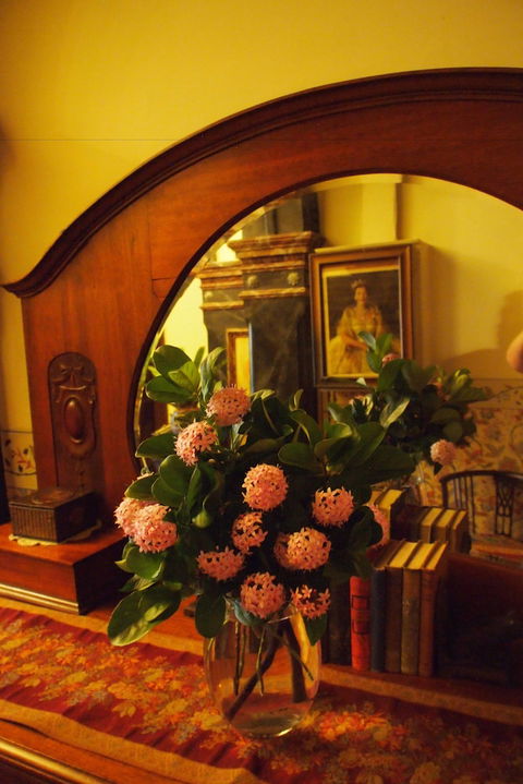 Vacy Hall Toowoomba's Grand Boutique Hotel - Geraldton Accommodation 6