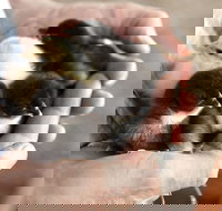 Margaret River Hideaway - Geraldton Accommodation