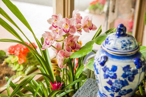 Kempsey Rose Motor Inn - Geraldton Accommodation 7