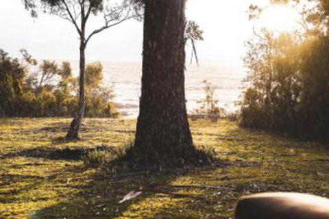 Seagrass On Sunset Bay - Geraldton Accommodation 1
