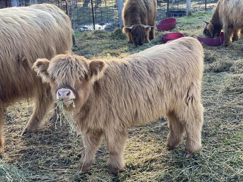 Maggies Farmstay - Geraldton Accommodation 4