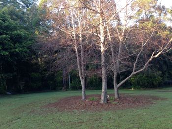 Boambee Retreat - Geraldton Accommodation 4