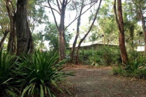Port Stephens Koala Sanctuary - Geraldton Accommodation 2