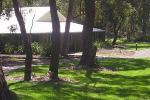 Port Stephens Koala Sanctuary - Geraldton Accommodation 6