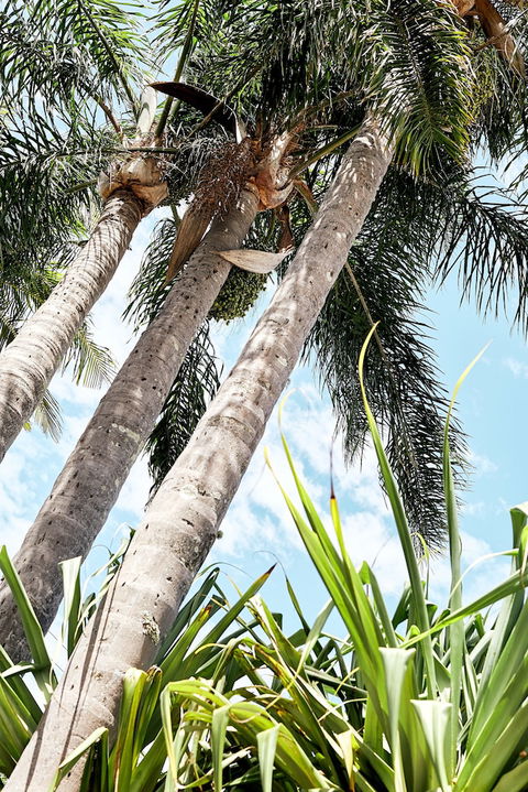 Brunswick Heads Chalet Motel - Geraldton Accommodation 5