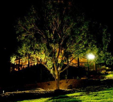 Oceanview Estate Vineyard Cottages - Geraldton Accommodation 4