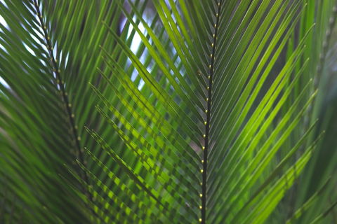 The Jackson Ranch - Geraldton Accommodation 2