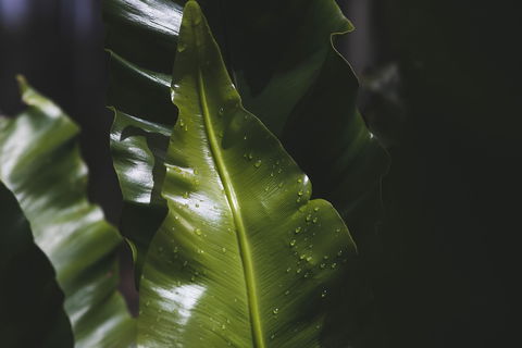 The Jackson Ranch - Geraldton Accommodation 1