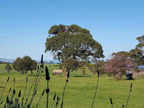 Dees Villa Bed & Breakfast - Geraldton Accommodation 6