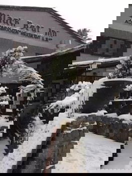 Black Bear Inn - Geraldton Accommodation 2