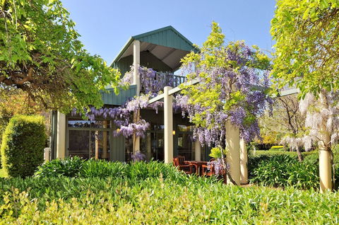 Tree Elle - Geraldton Accommodation 1