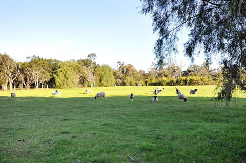 Tree Elle - Geraldton Accommodation 6