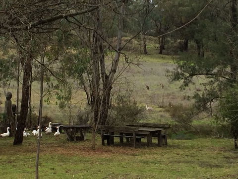 Wildwood Guesthouse - Geraldton Accommodation 1