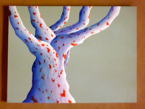 Wildwood Guesthouse - Geraldton Accommodation 4