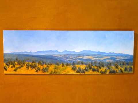 Wildwood Guesthouse - Geraldton Accommodation 5