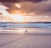 Blue Waters Motel - Geraldton Accommodation