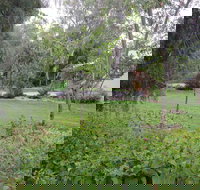 Amy's House - Geraldton Accommodation