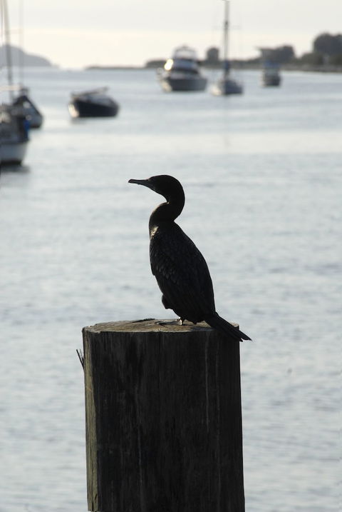 Mariners On The Waterfront - Geraldton Accommodation 3