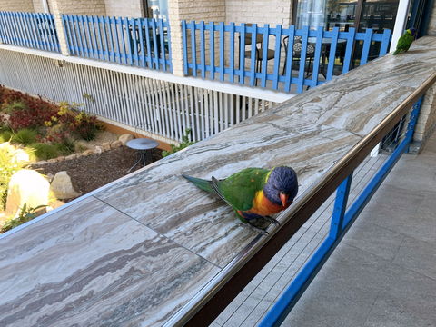 Mariners On The Waterfront - Geraldton Accommodation 5