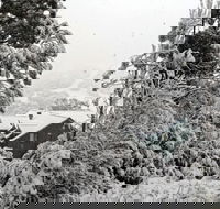 Alpenhorn - Geraldton Accommodation